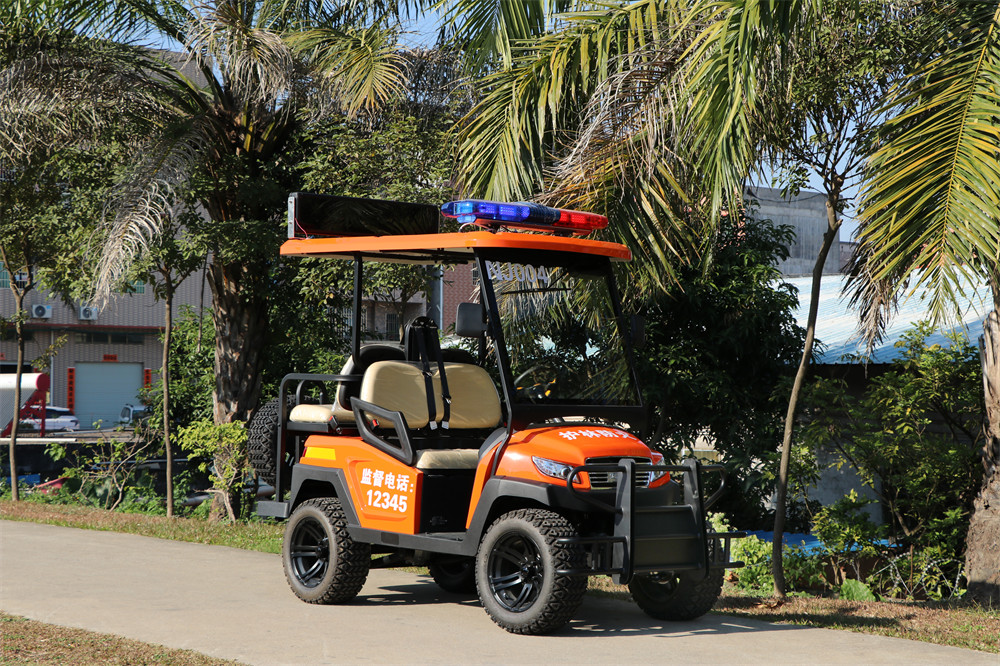 護(hù)林防火巡查車，電動(dòng)巡邏車