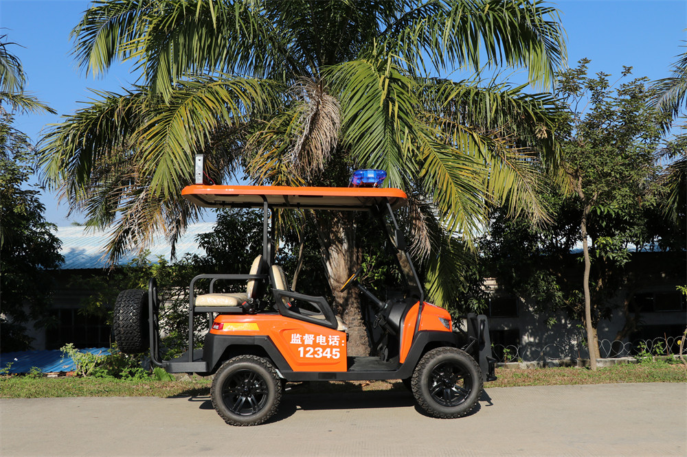 護(hù)林防火巡查車，電動(dòng)巡邏車